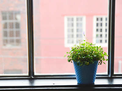 无害环保健康的短信呼叫软件